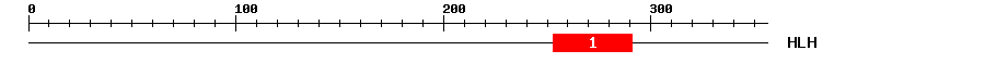 Signature Domain