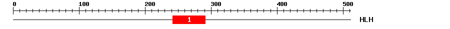 Signature Domain
