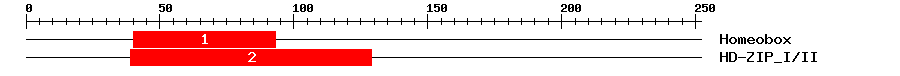 Signature Domain