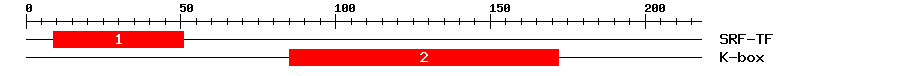Signature Domain