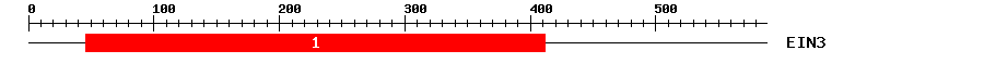 Signature Domain