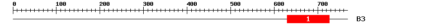 Signature Domain