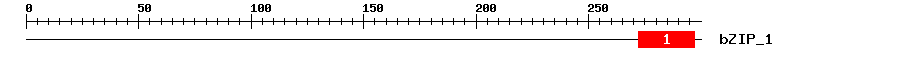 Signature Domain