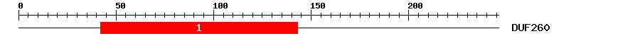 Signature Domain