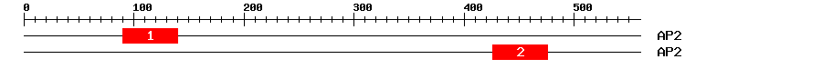 Signature Domain
