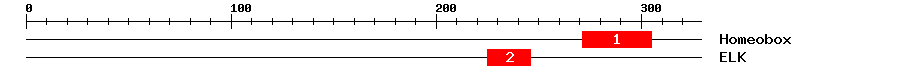 Signature Domain