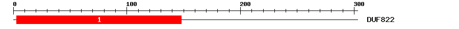 Signature Domain