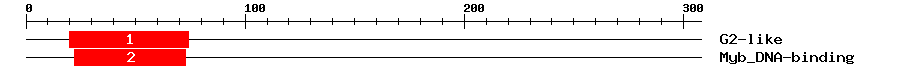 Signature Domain