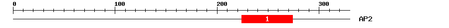 Signature Domain