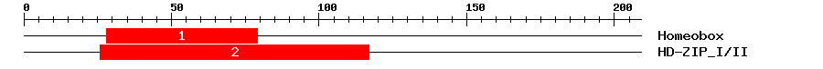 Signature Domain