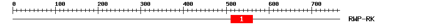 Signature Domain