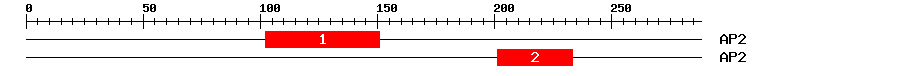 Signature Domain