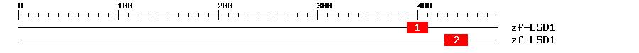 Signature Domain