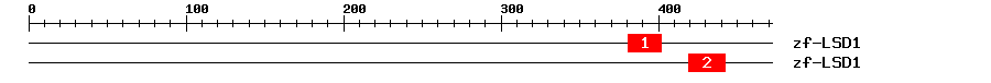 Signature Domain