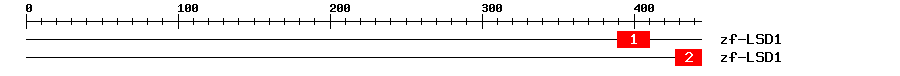 Signature Domain