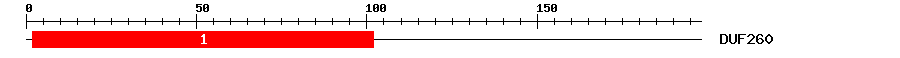 Signature Domain