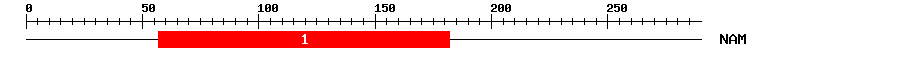 Signature Domain