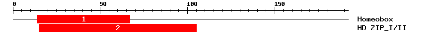 Signature Domain