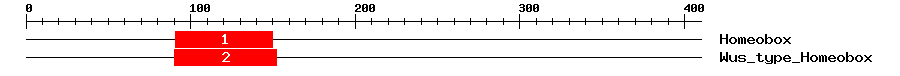 Signature Domain