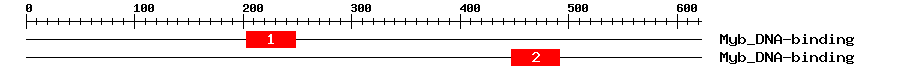 Signature Domain