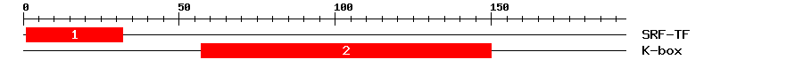 Signature Domain