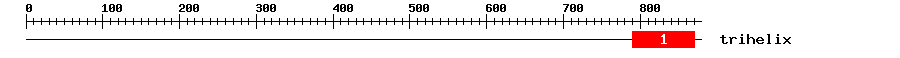 Signature Domain
