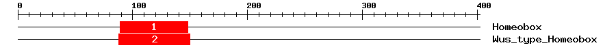 Signature Domain