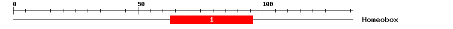 Signature Domain