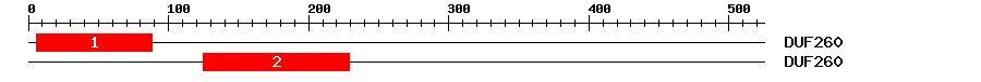 Signature Domain