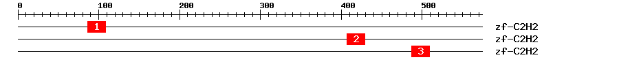 Signature Domain