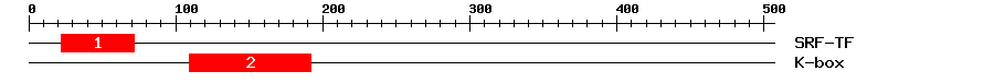 Signature Domain