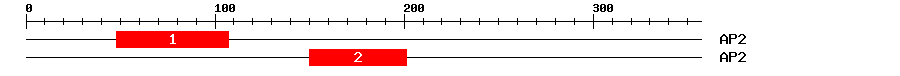 Signature Domain
