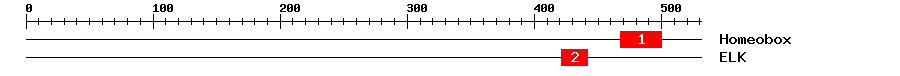 Signature Domain