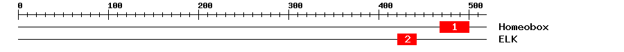 Signature Domain