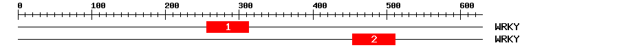 Signature Domain
