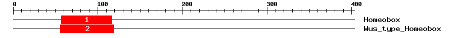 Signature Domain
