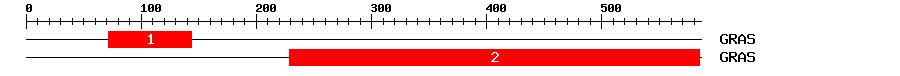 Signature Domain