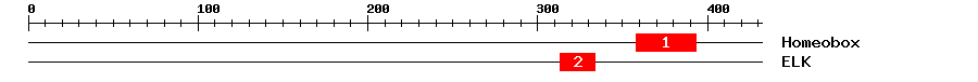 Signature Domain