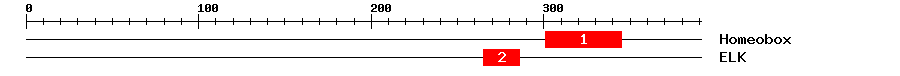 Signature Domain