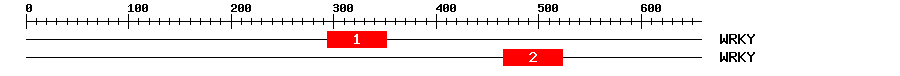Signature Domain