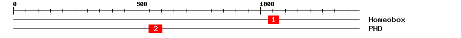 Signature Domain