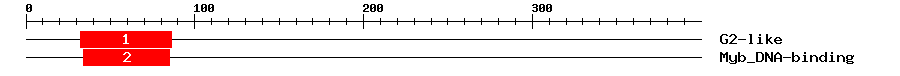Signature Domain
