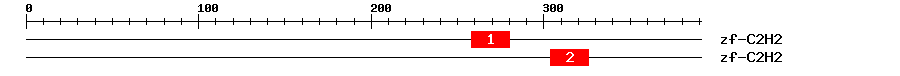 Signature Domain