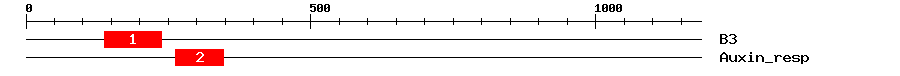 Signature Domain