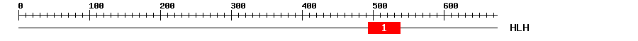Signature Domain