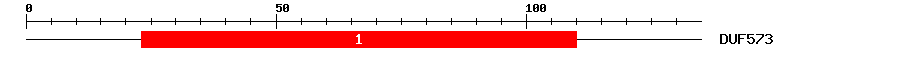 Signature Domain