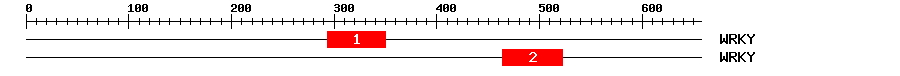 Signature Domain