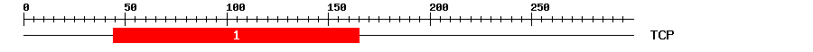 Signature Domain