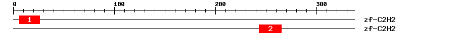 Signature Domain