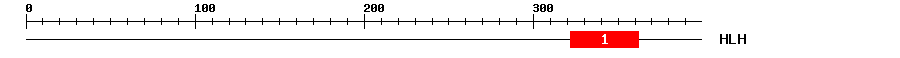 Signature Domain